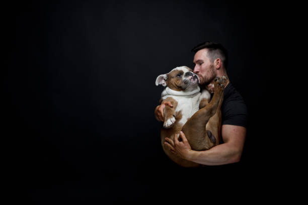 istock Man holding his cute bulldog 949306694
