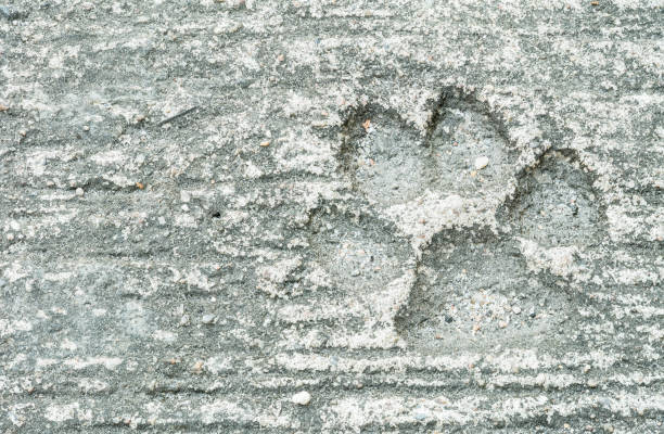 istock Closeup dog footprint at dirty cement floor texture background 949310370