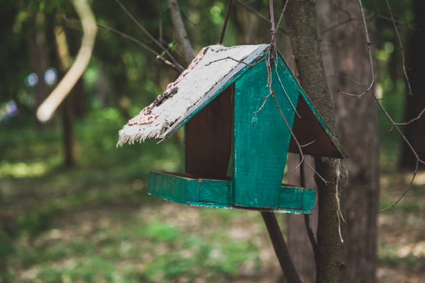 istock Wooden green bird feeder on branch 949315650