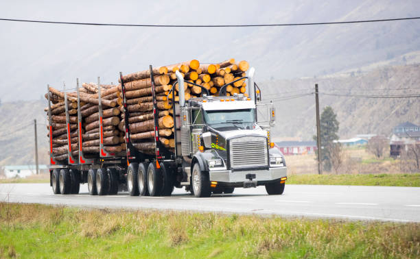 istock Heavy Cargo on the Road 949316118
