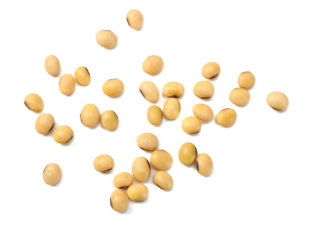 istock Soybeans isolated on white background. top view 949321564