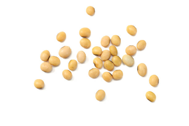 istock Soybeans isolated on white background. top view 949321572