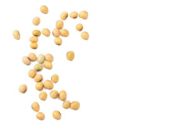 istock Soybeans isolated on white background. top view 949321574