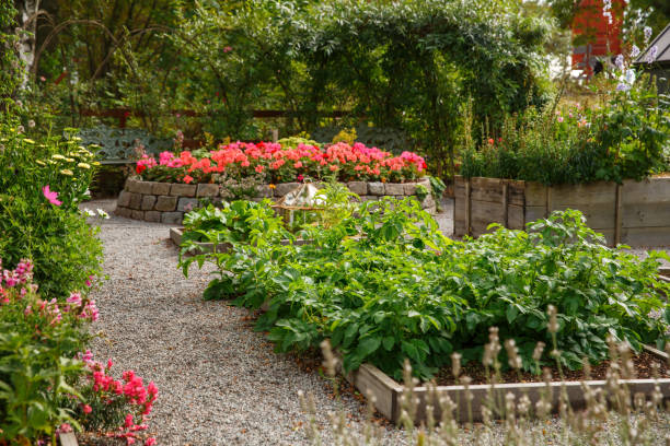 istock Vegetable and flower garden 949321828
