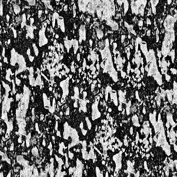 istock Old black and white grunge background. Abstract monochrome vintage texture. Pattern of stains, cracks, scratches 949322134
