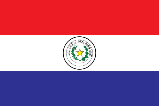 vector illustration flag of Paraguay vector illustration flag of Paraguay paraguay stock illustrations