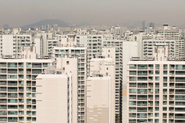 From the apartment rooftop