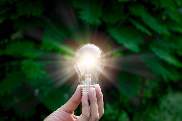istock hand holding light bulb in garden green nature background. 949328764