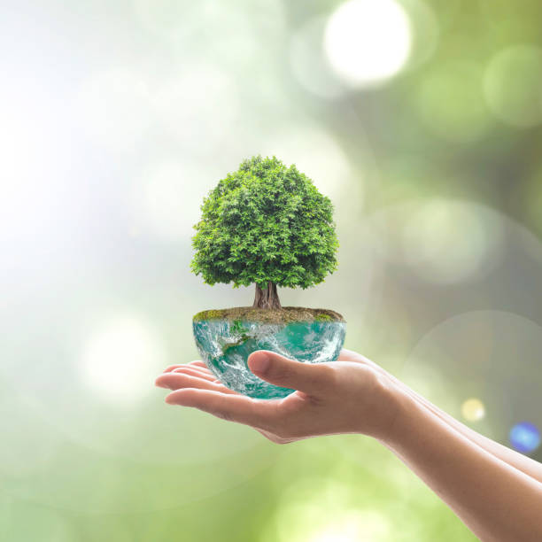 istock Planting tree in green globe planet on volunteer's hands for world environment day, eco friendly concept. Elements of this image furnished by NASA 949337002