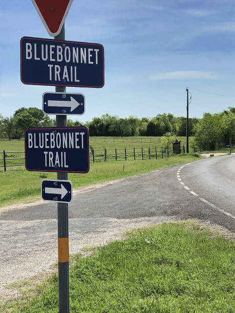 istock Bluebonnet Trail Sign in Ennis, Texas 949337714