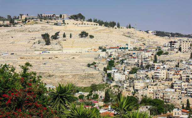 istock colors of Israel 949340608