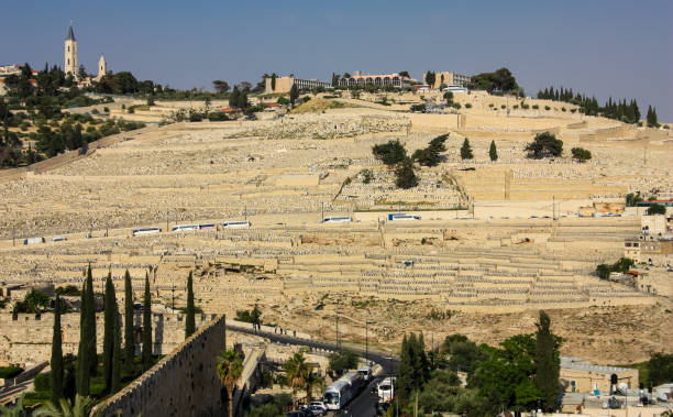 istock colors of Israel 949341690