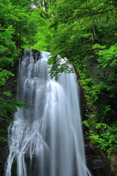istock Onogawa immovable waterfall in the summer 949342082