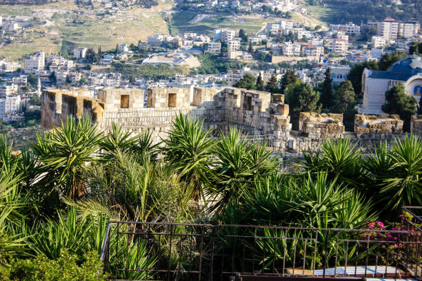 istock colors of Israel 949342962