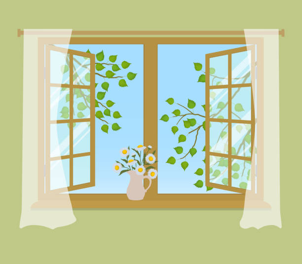 ilustrações de stock, clip art, desenhos animados e ícones de open window with curtains on a green background - chamomile daisy sky flower