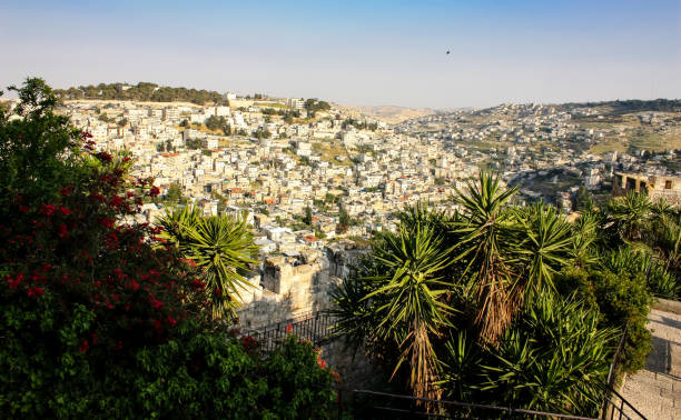 istock colors of Israel 949342990