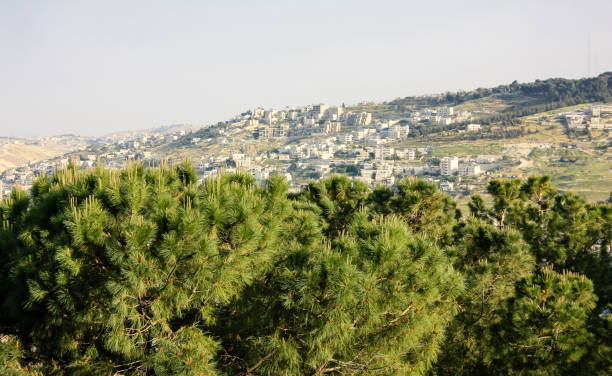 istock colors of Israel 949343350
