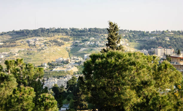 istock colors of Israel 949343364