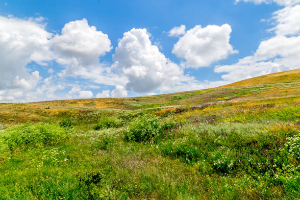 istock Summer landscape - flowering meadows and fields against a background of clouds 949345722