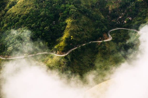Beautiful winding road in the mountains covered with greenery
