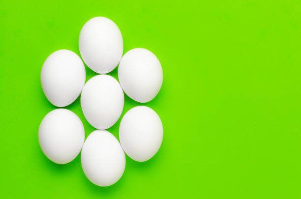 istock Symmetry of white eggs on bright light green background. 949347298