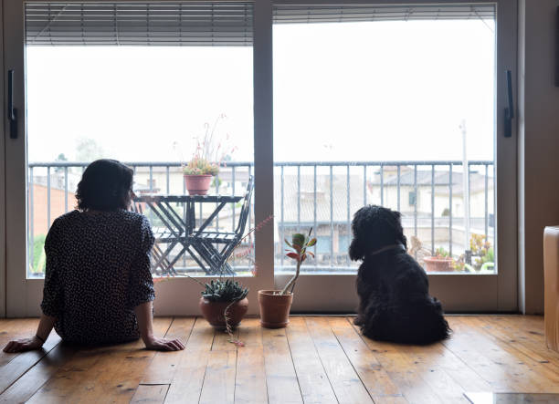 istock sad woman sitting and looking out the window 949350732