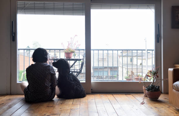 istock sad woman sitting and looking out the window 949350758