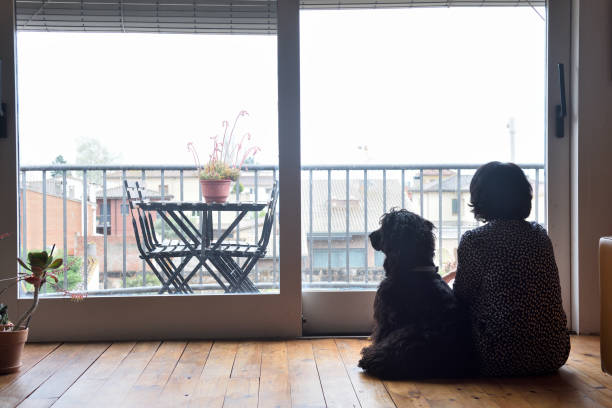istock sad woman sitting and looking out the window 949350922