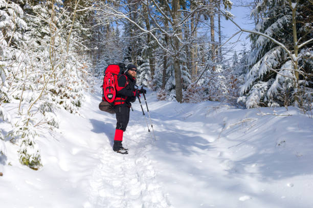 istock An equiped hiker is standing in the winter forest 949351398