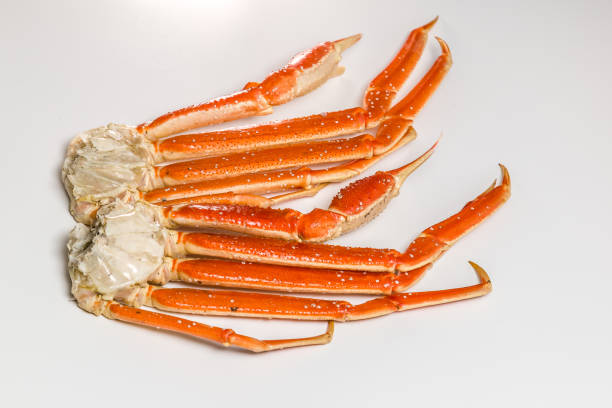 istock claw of a snow crab on a white background 949353156