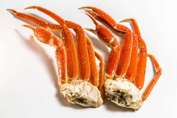 istock claw of a snow crab on a white background 949353176