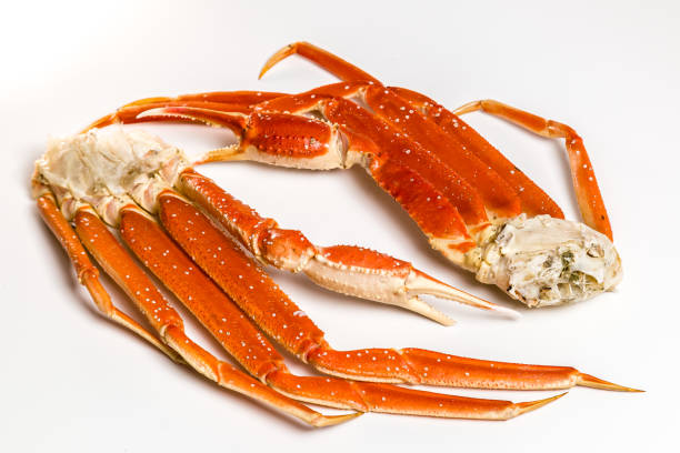 istock claw of a snow crab on a white background 949353188