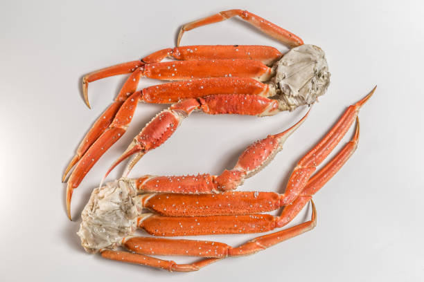 istock claw of a snow crab on a white background 949353196
