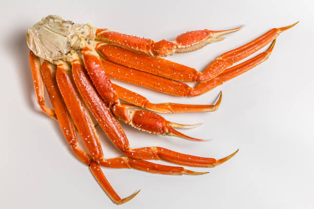 istock claw of a snow crab on a white background 949353554