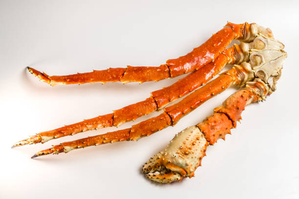 istock claw of a king crab on a white background 949354296