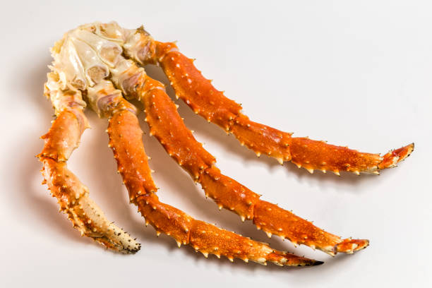 istock claw of a king crab on a white background 949355228