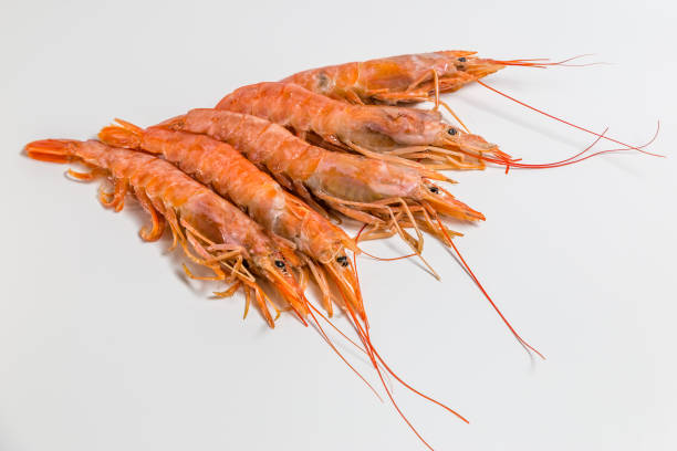 istock shrimp langoustine lie on a white background 949360284