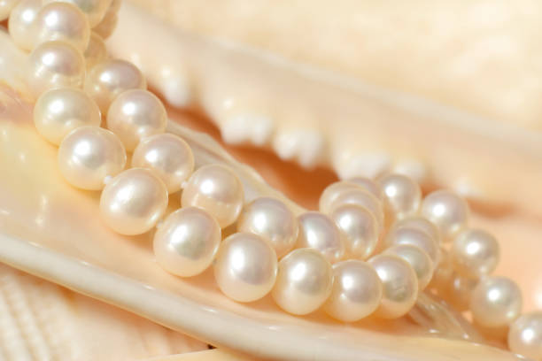 istock Pearl necklase on seashell 949360288