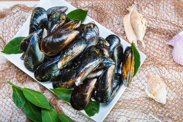 istock Fresh and alive mussels for cooking 949360668