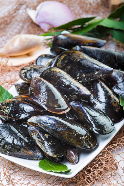 istock Fresh and alive mussels for cooking 949361080