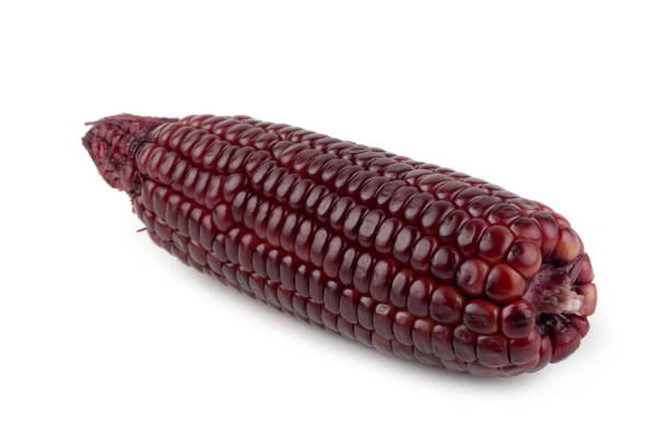 istock Fresh purple corns isolated on a white background 949361398