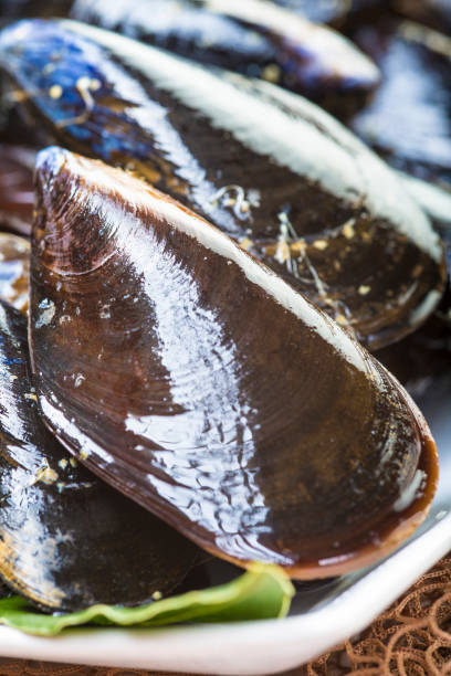 istock Fresh and alive mussels for cooking 949361434