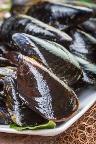 istock Fresh and alive mussels for cooking 949361740