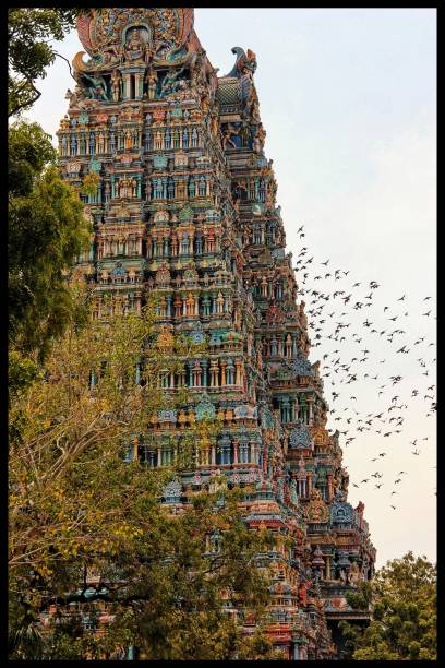 istock Birds of the temple 949362466