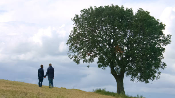 istock Married couple holding hands, looking at horizon, dreaming about happy future 949366594