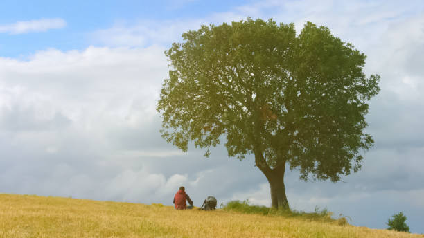 istock Young man with backpack relaxing near tree, hiker enjoying nature, green tourism 949366708