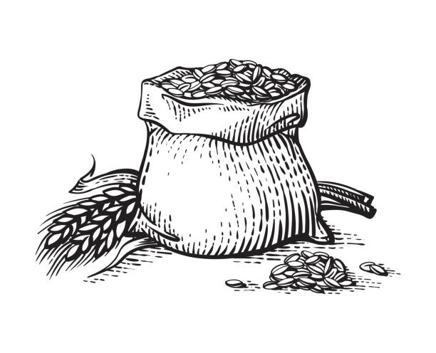 손으로 밀가루와 곡물 흰색 배경에 고립의 스케치 전체 가방. - bread cereal plant illustrations stock illustrations