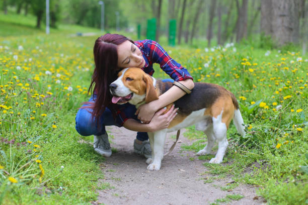 istock Young woman with her dog 949368858