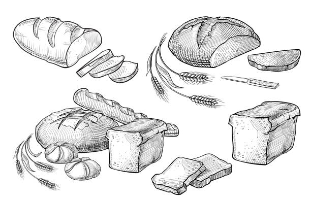 Bread vector hand drawn set illustration. Other types of wheat, flour fresh bread. Gluten food bakery engraved collection. Black bake organic food Bread vector hand drawn set illustration. Other types of wheat, flour fresh bread. Gluten food bakery engraved collection. Black bake organic food isolated on white background. slice of bread stock illustrations