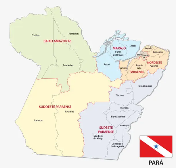 Vector illustration of para administrative and political map with flag